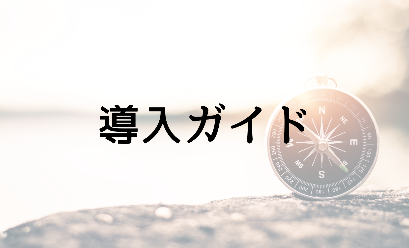技能実習生導入ガイド